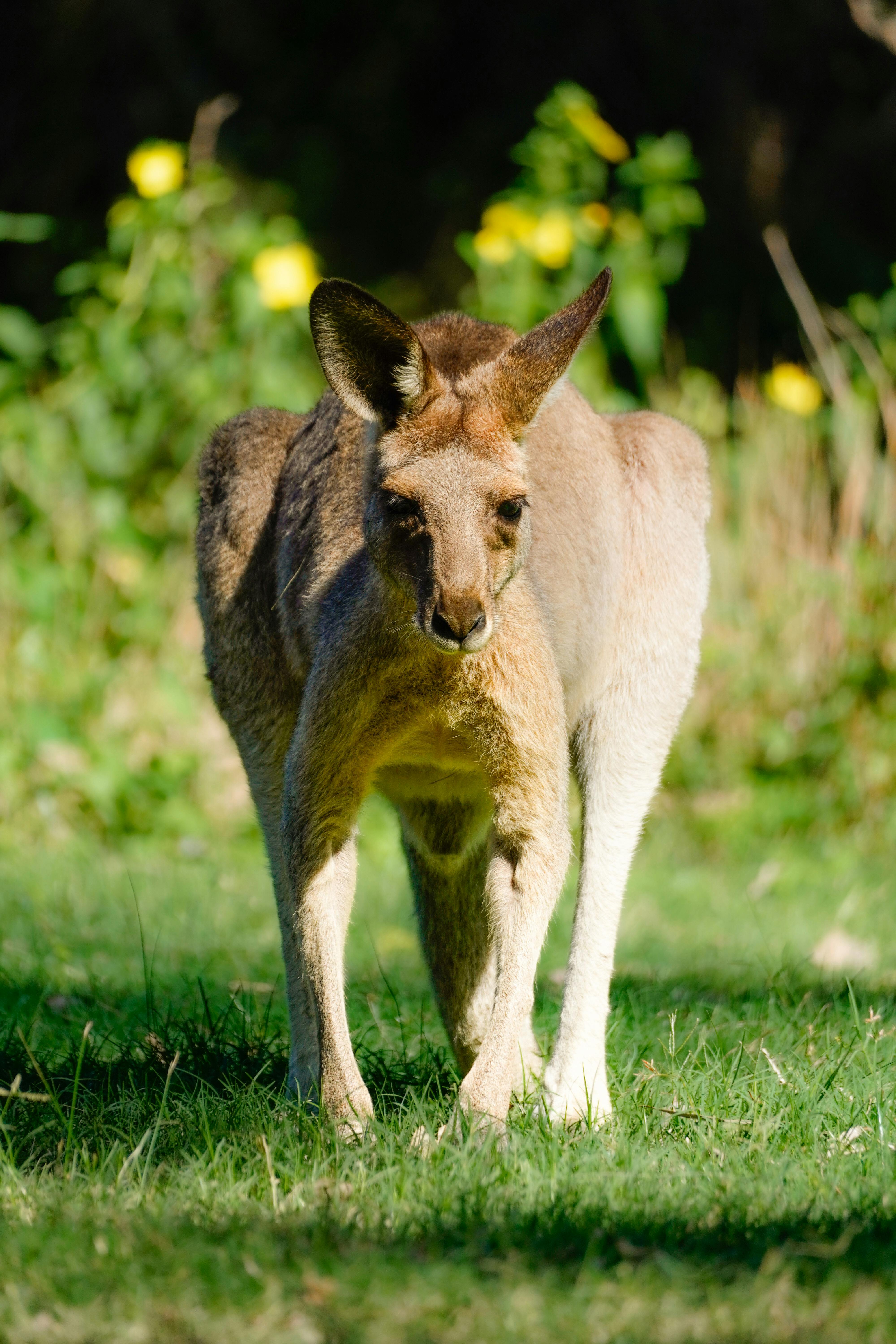 Luxury Turkey Travel